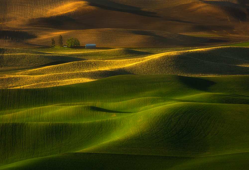 The color of the earth von Jie Chen