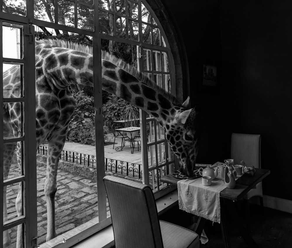 Giraffe Manor in kenya von Jie Fischer