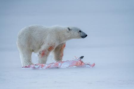 hunting in snow