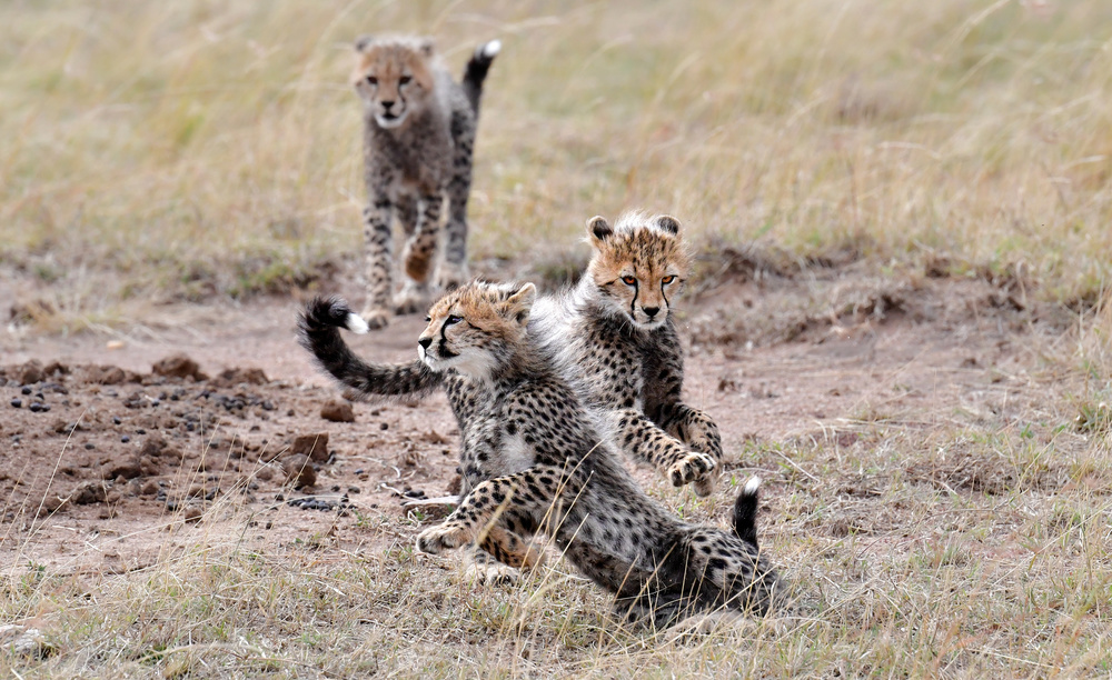 Play time von Jie Fischer