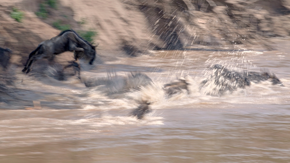 Jumping von Jie Fischer