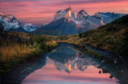 Cuernos Del Paine sunrise