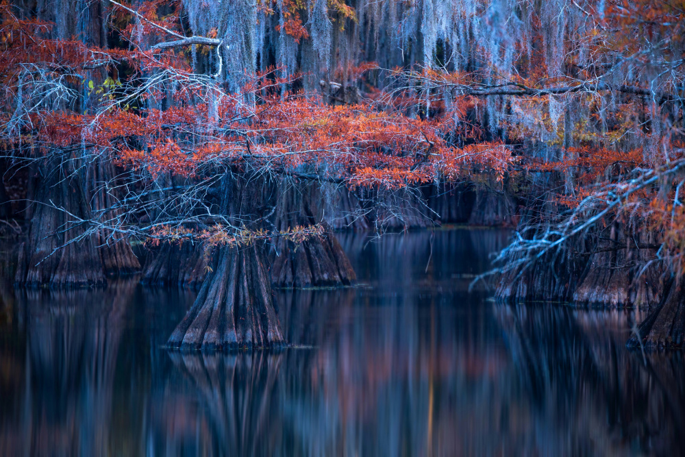 Autumn above water von Jie Jin