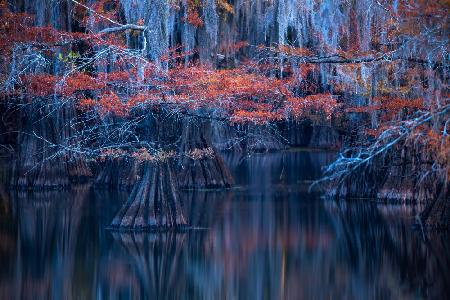 Autumn above water