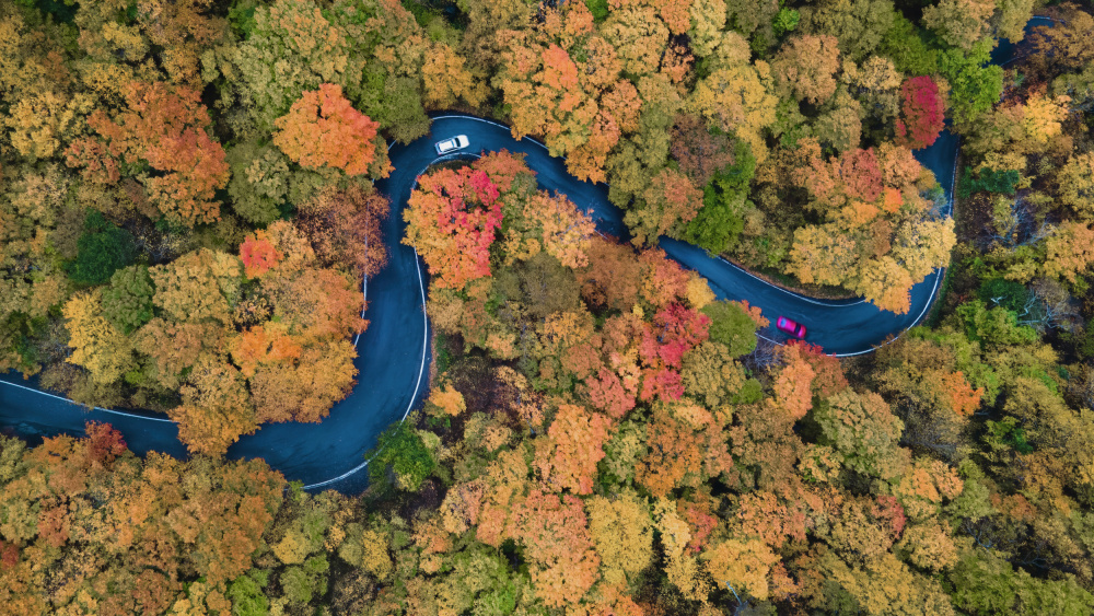 Autumn curve von Jie Jin