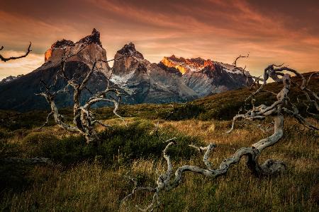 Torres Del Paine in sunrise