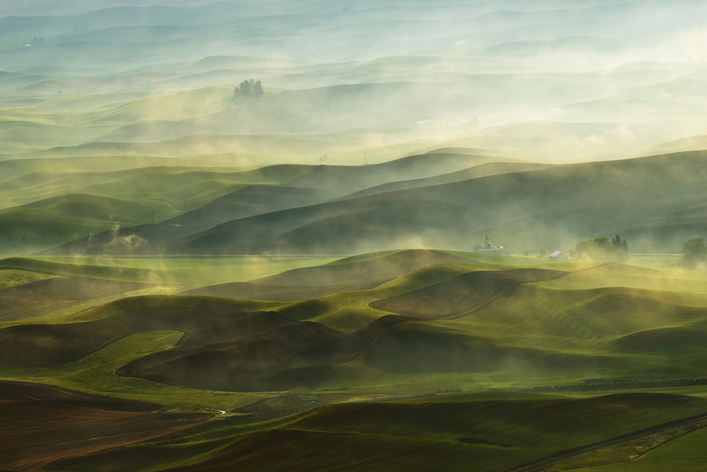 Golden Morning-Palouse von Jikui Shen