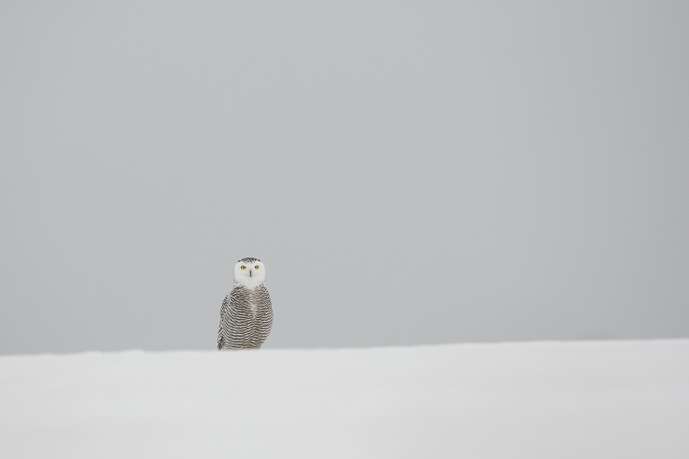 Feel lonely... von Jim Luo