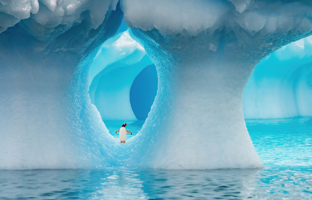 Crystal Palace von Jimmy Yang