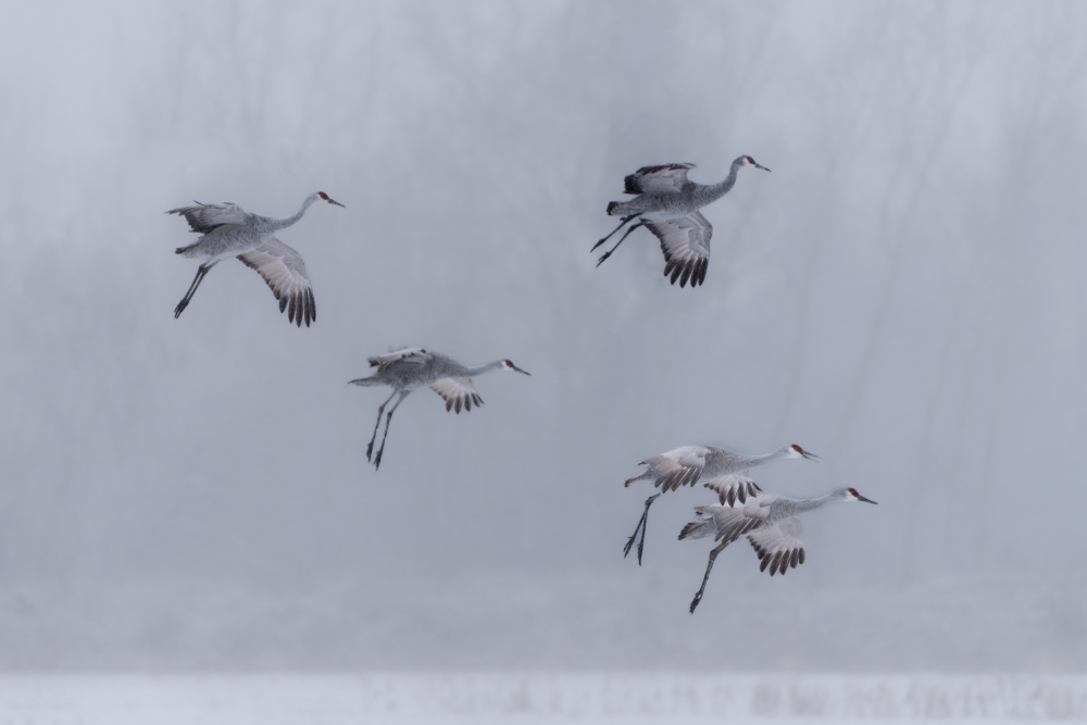 Before landing von Jin Park