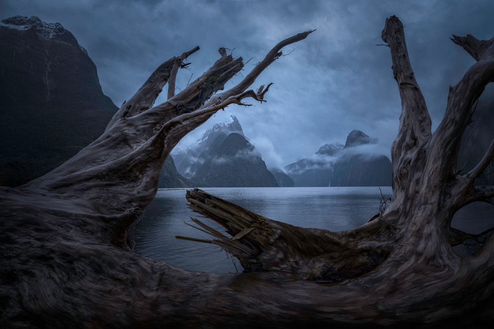 Milford Sound von Jingshu Zhu