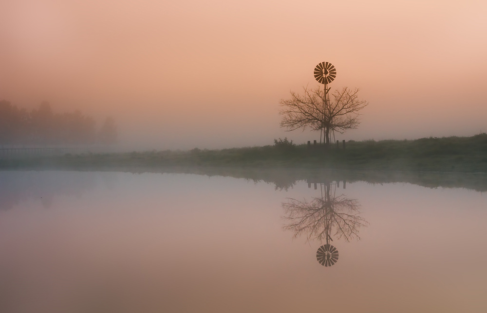 Foggy Morning von Jingshu Zhu