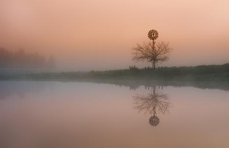 Foggy Morning