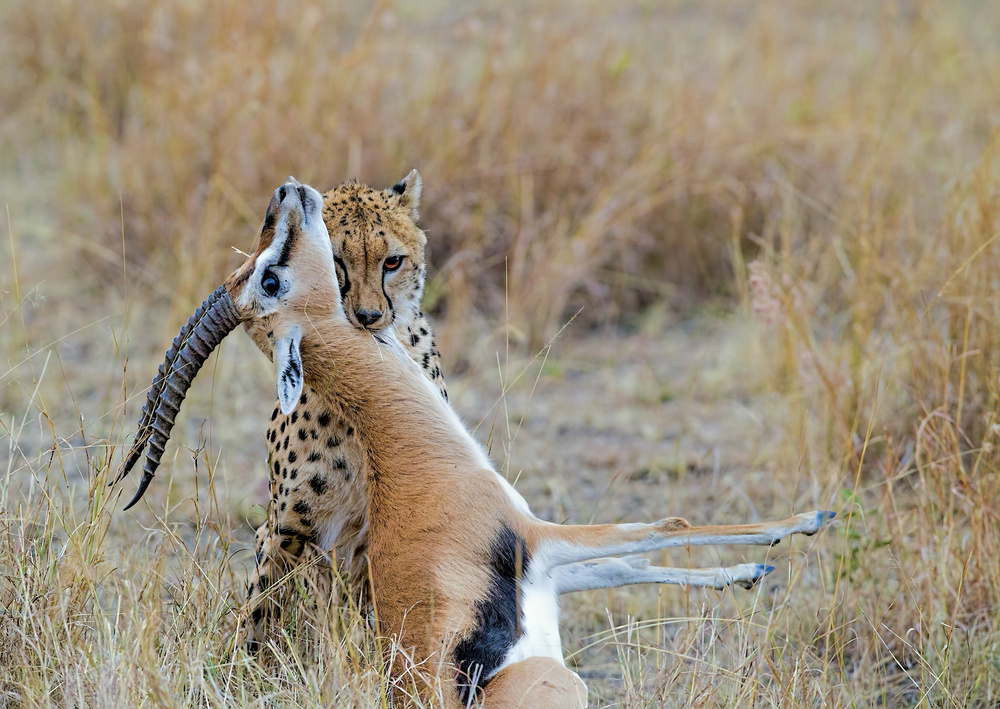 Posing with her Kill von Jiti Chadha