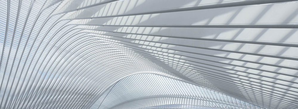 Guillemins von Joachim Bruederl