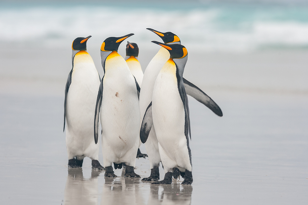 On the beach von Joan Gil Raga