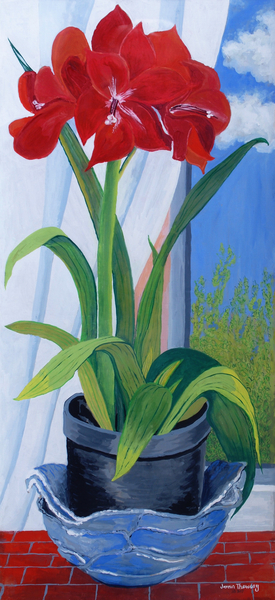 Amaryllis in a Blue Bowl von Joan  Thewsey