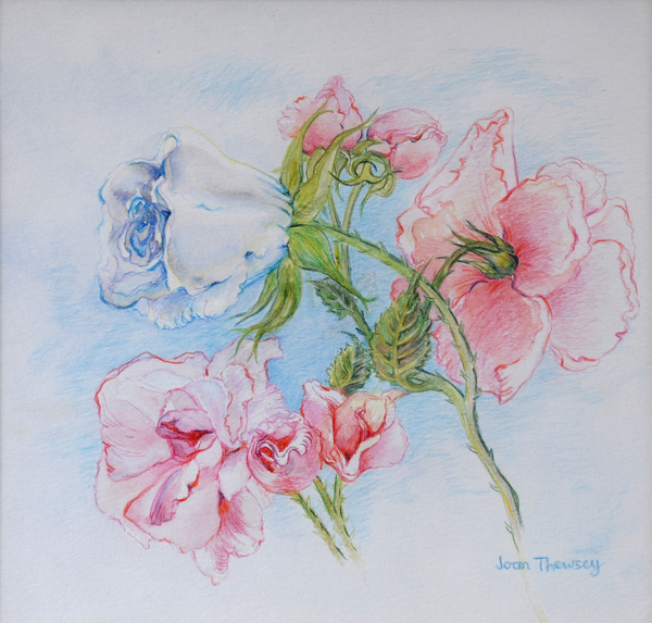 Morning Roses von Joan  Thewsey