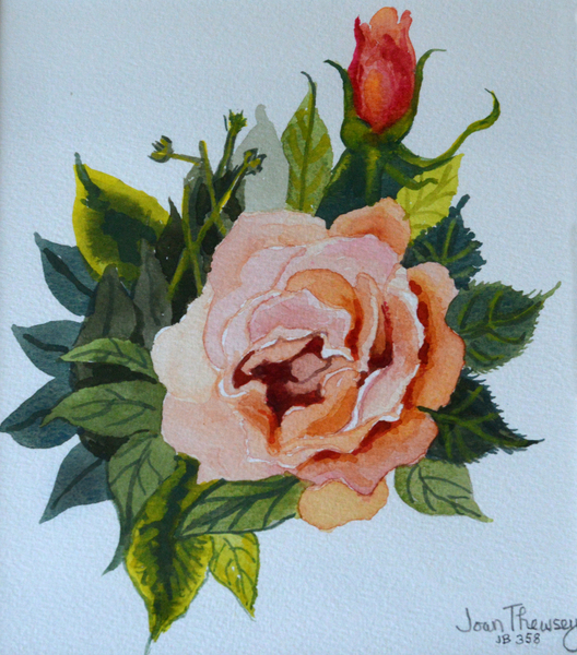 Pink Rose and Bud von Joan  Thewsey