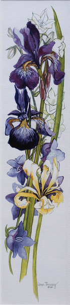 Purple and Yellow Irises with White and Mauve Campanulas von Joan  Thewsey