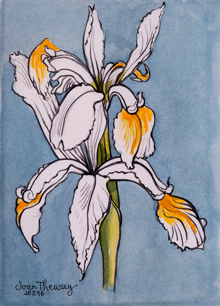 Two Irises von Joan  Thewsey