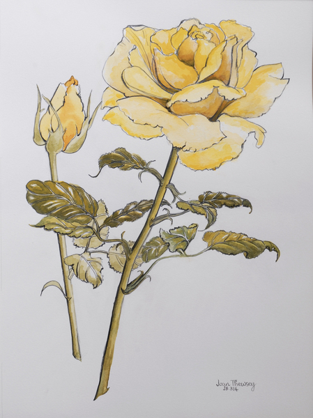 Yellow Rose with Leaves with Bud von Joan  Thewsey