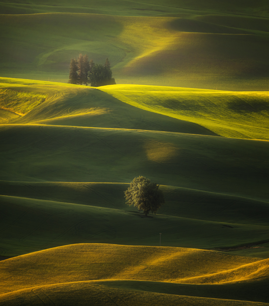 Golden hours of the Palouse von Joan Zhang