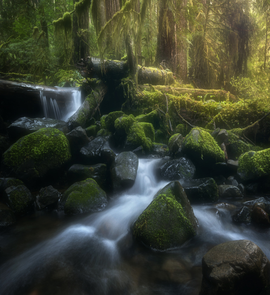 Sol Duc Cascade in spring von Joan Zhang