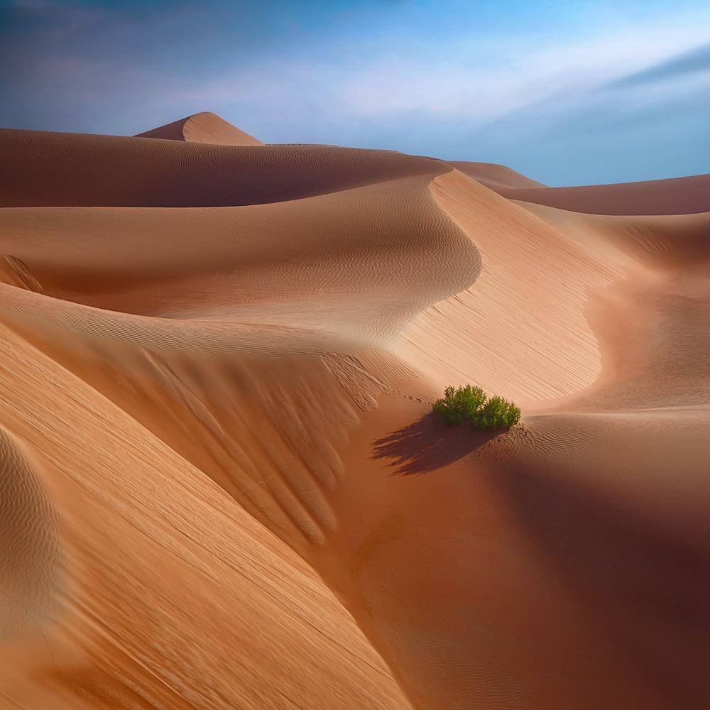 Dunes and Patterns 7R41610 von joanaduenas