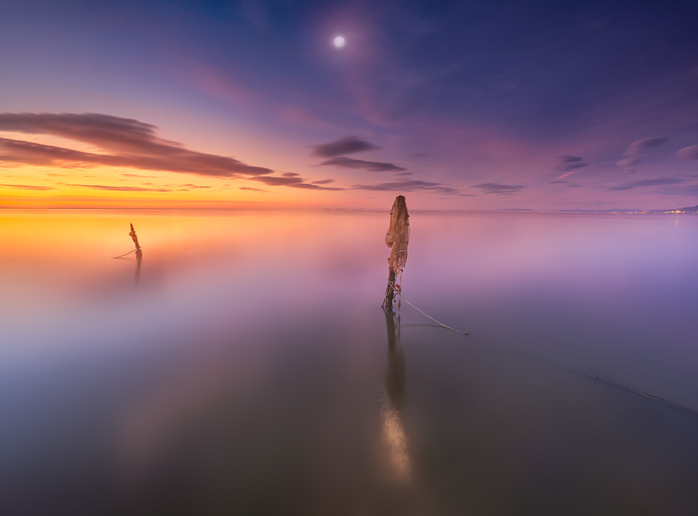 Sunrise in Delta del Ebre wetland von joanaduenas