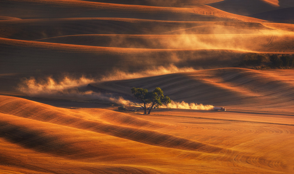 Golden Autumn Wheat Field von Joanna W