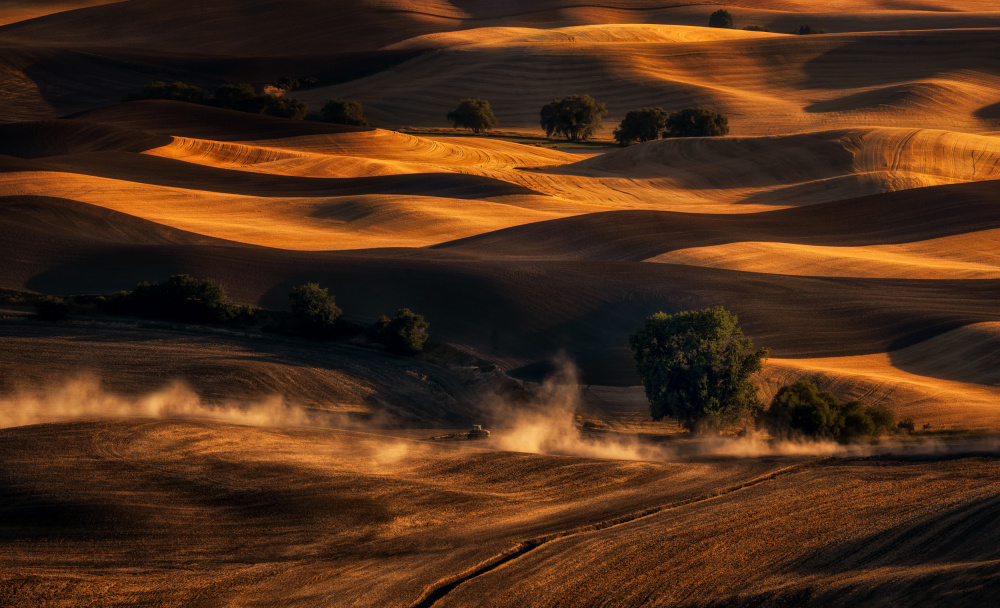 Palouse Wheat Field In August von Joanna W