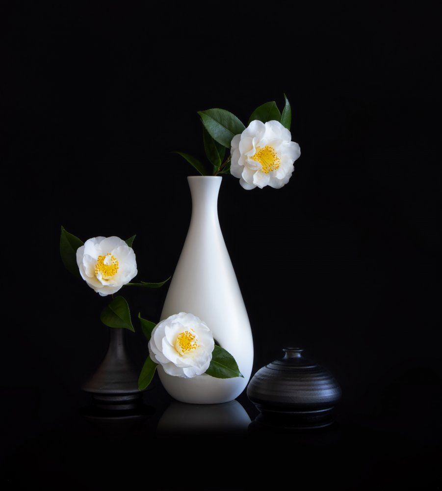 White camellia von Joanna W