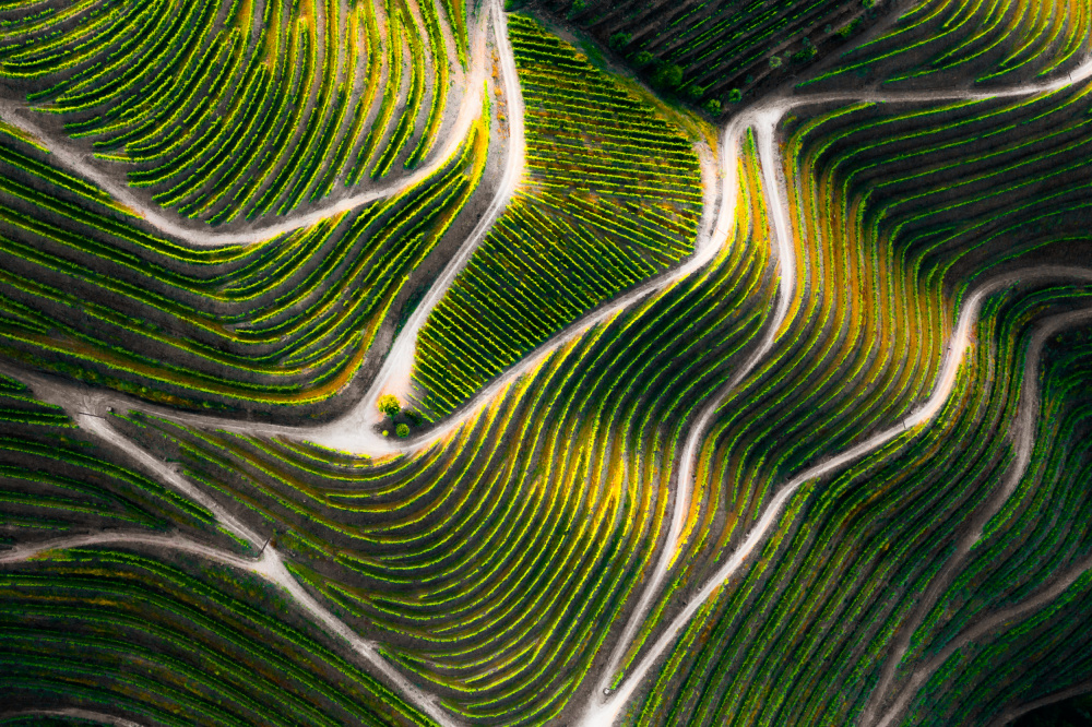 Douro Valley von Joao Galamba