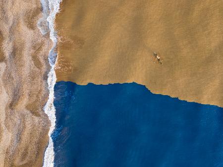 When the muddy river meets the ocean