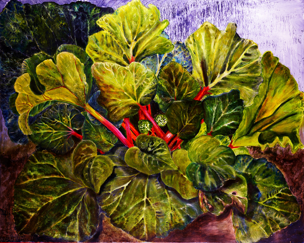 rhubarb von jocasta shakespeare