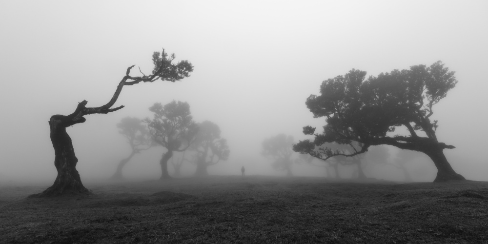 Unwind von Jochen Bongaerts