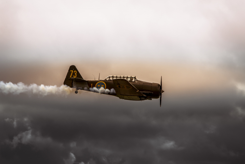 Airshow Roskilde von Jørgen Wicklow