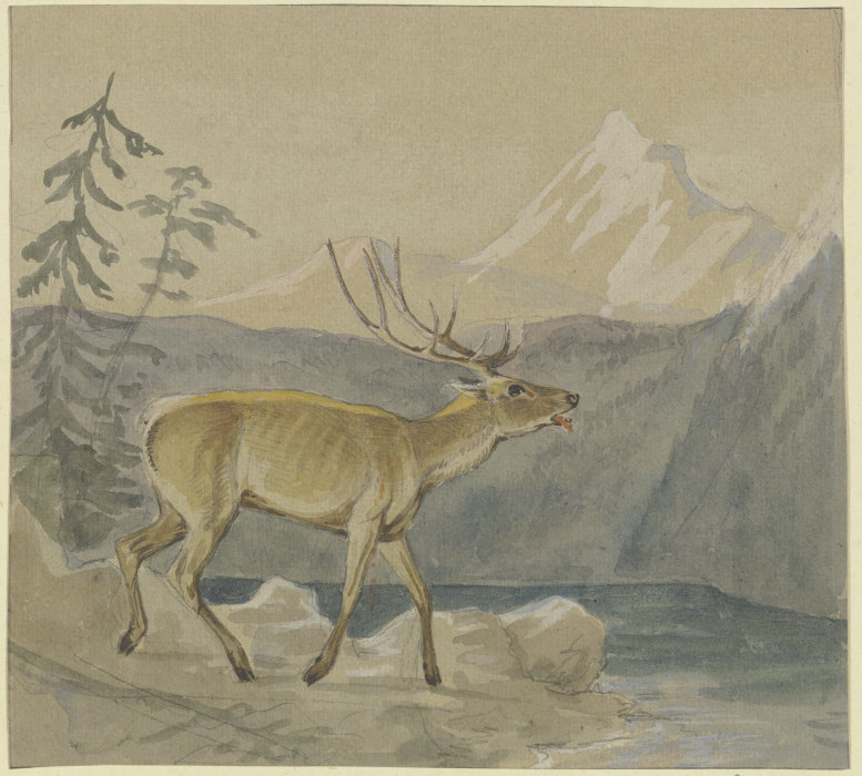 Ein verwundeter Hirsch sucht Labung an einem Gebirgssee von Johann Erdmann Gottlieb Prestel