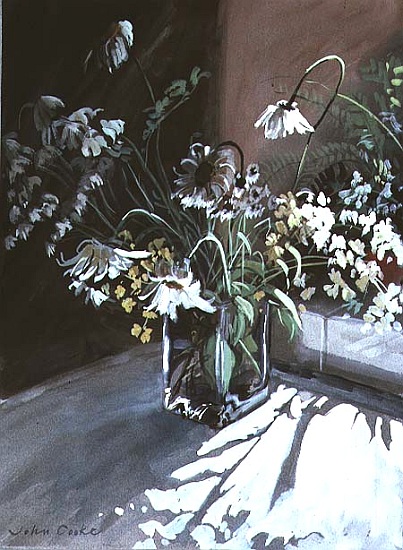 Marguerites von John  Cooke