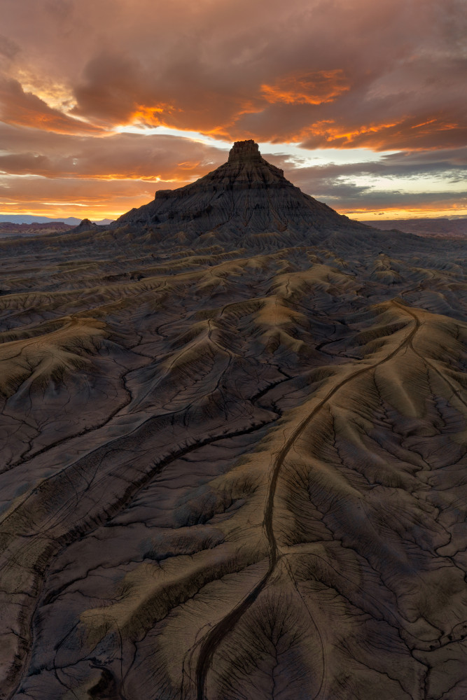 Veins of the Earth von John Fan