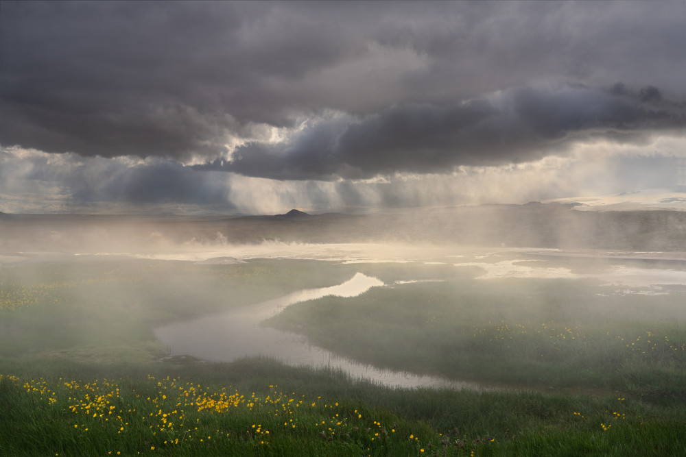 Flowers in the Dream von John Fan