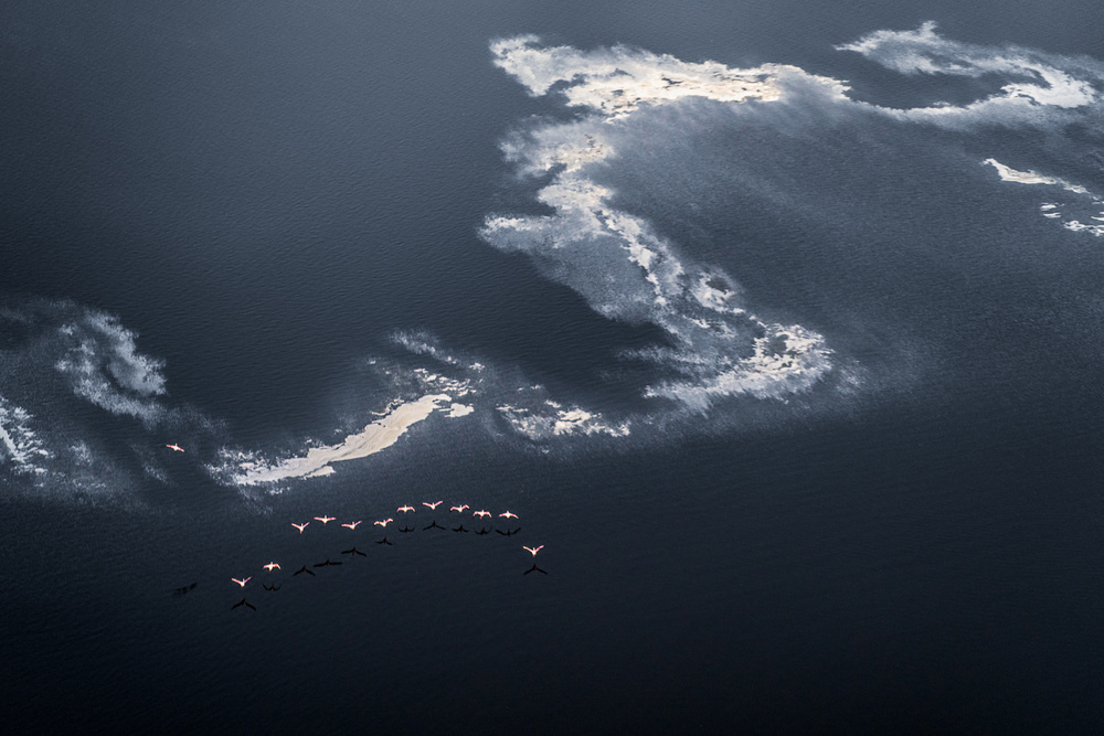 Chasing the Waves von John Fan