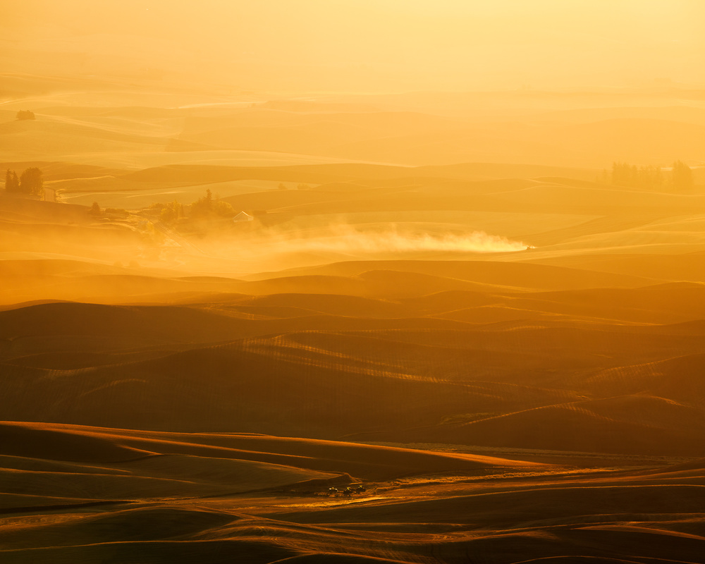 Field of Streams von John Fan