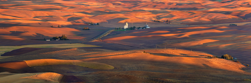 Golden Palouse von John Fan