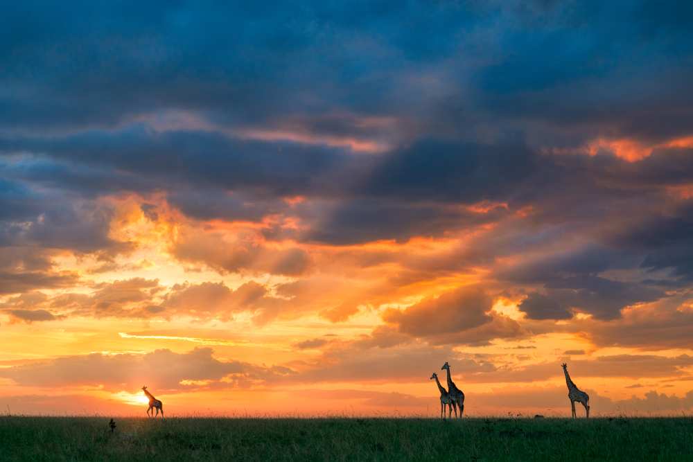 Heaven and Earth von John Fan