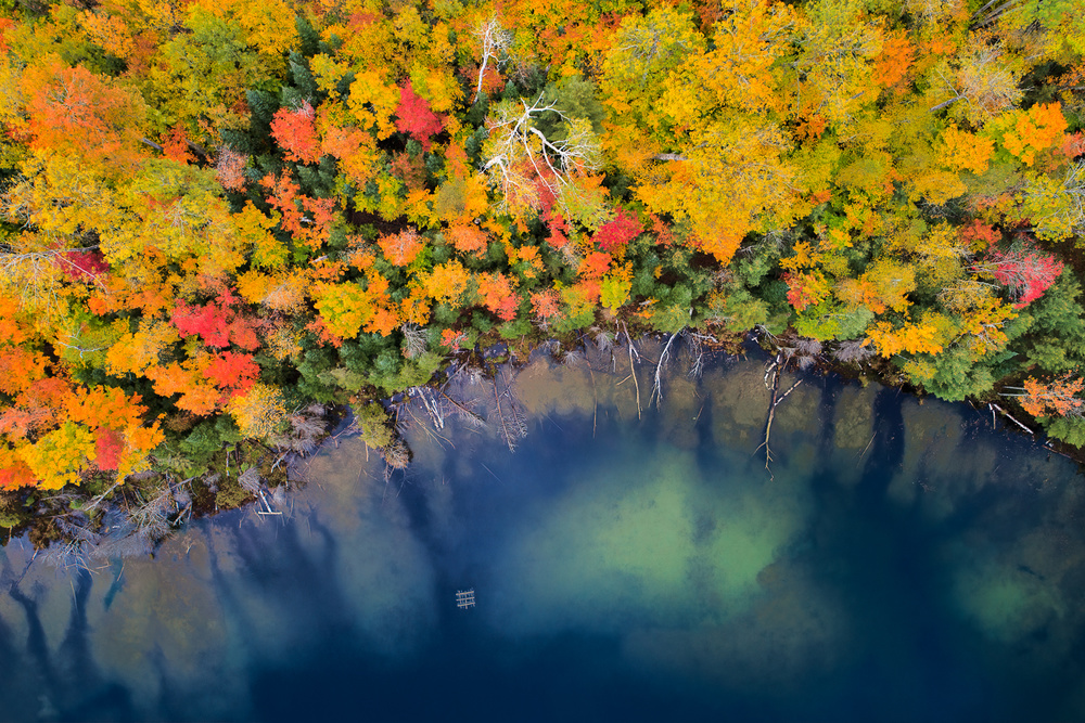 Autumn Pond von John Fan