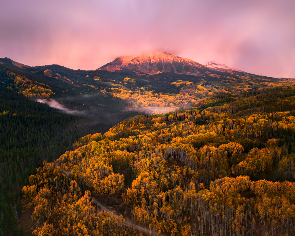 Concert of Fall von John Fan