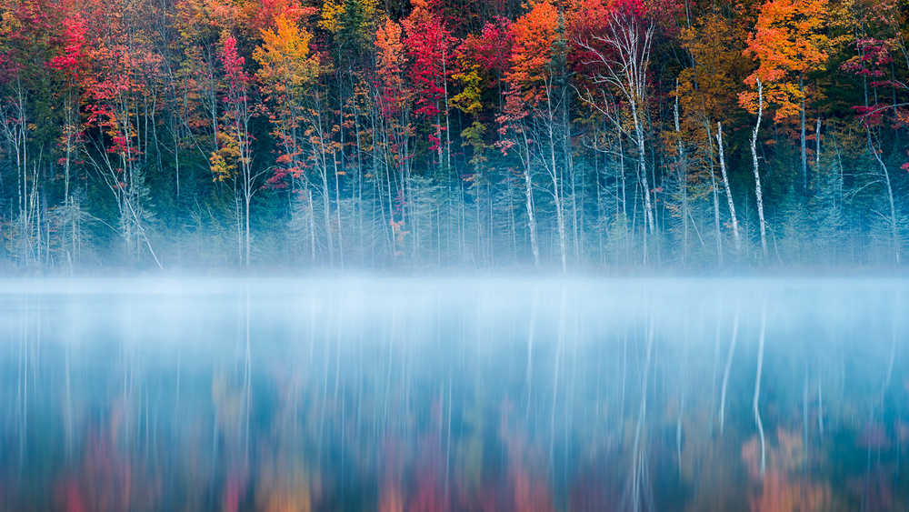 Morning Reflection von John Fan