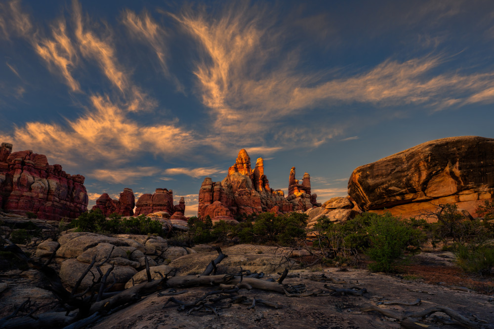 Needles in the Light von John Fan